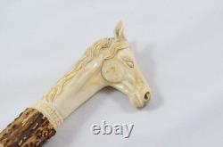 Hand Carved Large Stallion Walking Stick Cane Top Handle Antler Horn Sheffield
