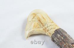 Hand Carved Small Bird Walking Stick Cane Top Handle Antler Horn Sheffield