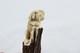 Hand Carved Small Dog Walking Stick Cane Top Handle Antler Horn Sheffield