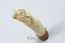 Hand Carved Small Wild Boar Walking Stick Cane Top Handle Antler Horn Sheffield