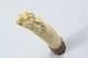 Hand Carved Small Wild Boar Walking Stick Cane Top Handle Antler Horn Sheffield
