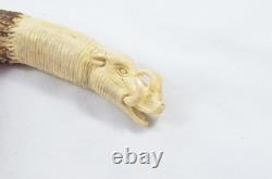 Hand Carved Small Wild Boar Walking Stick Cane Top Handle Antler Horn Sheffield