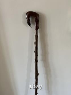 Hand Carved Snake Headed Walking/Hiking Stick Carved In Jarrah On Hawthorn Shank