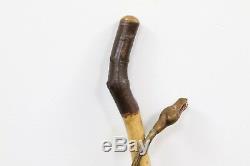 Hand Carved Snake open mouth Walking Cane or Stick Folk Art -Stone, Glass Eyes