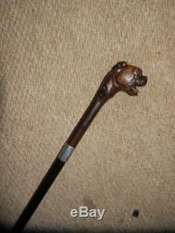 Hand Carved Snarling Dog H. M Silver 1909 Walking Stick. 35.1/2 Brigg London