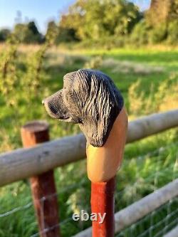 Hand Carved Spaniel Head in Lime wood Country Walking stick on Hazel Shank