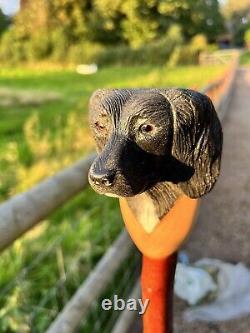 Hand Carved Spaniel Head in Lime wood Country Walking stick on Hazel Shank