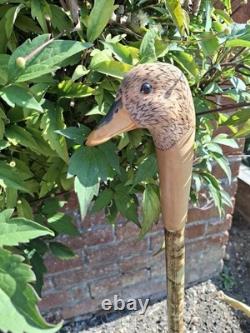 Hand Carved Walking Stick