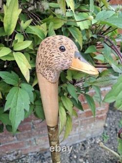 Hand Carved Walking Stick