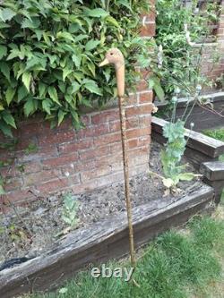 Hand Carved Walking Stick