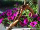 Hand Carved Walking Stick Cane Staff Wooden Crafted with Flower Light for women