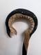 Hand Carved Walking Stick Cobra Steel Inserted Made In Solid Oak Unique Design