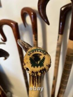 Hand Carved Walking sticks