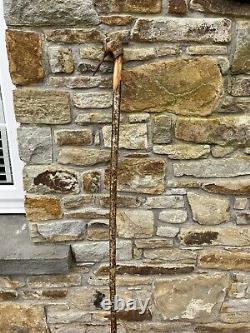 Hand Carved Woodcock In Lime Hiking/Walking stick on Hazel shank