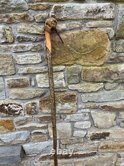 Hand Carved Woodcock In Lime Hiking/Walking stick on Hazel shank