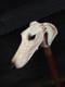 Hand Carved Wooden Handled'Saluki' Deco Styled Walking Stick