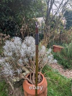 Hand Carved Wooden Rams Head Topped Walking/Hiking Stick /47inch Hazel