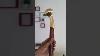Hand Carved Wooden Walking Cane With Brass Handle Decorative Antique Style Walking Stick