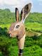 Hand Carved Wooden Walking Stick Rabbit Head Handle Wooden Hiking Cane Stick