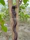 Hand Carved snake Wooden Walking Stick Cobra Walking Cane