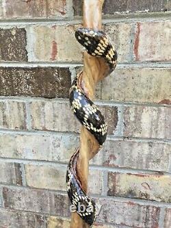 Hand Carved wood Snake curling up Walking stick hight 63 inches