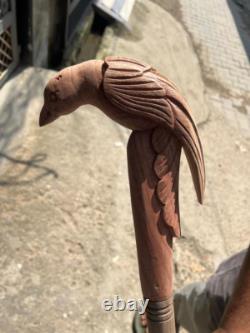 Handmade Hand-Carved Crow Head Wooden Walking Cane Classy, Stylish, and Unique