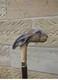 Handmade Hare Hand carved wooden walking cane for men women walking stick animal