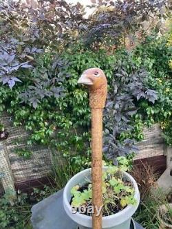 Hen Pheasant Head Hand Carved in Lime wood Country Walking stick on Hazel Shank