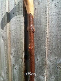 Hen Pheasant carved by hand on hazel shank, walking beating stick