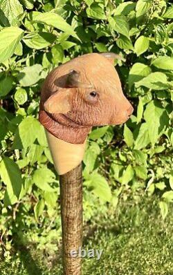 Highland Cow Head Hand Carved in Lime wood Country Walking stick on Hazel Shank