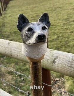 Jack Russell Head Hand Carved in Lime wood Country Walking stick on Hazel Shank