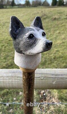 Jack Russell Head Hand Carved in Lime wood Country Walking stick on Hazel Shank