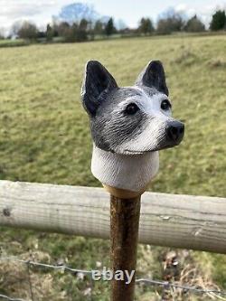 Jack Russell Head Hand Carved in Lime wood Country Walking stick on Hazel Shank