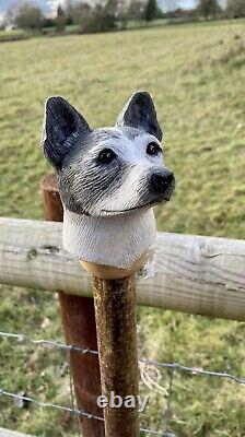 Jack Russell Head Hand Carved in Lime wood Country Walking stick on Hazel Shank