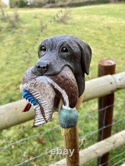 Labrador & Duck Hand Carved in Lime Country Walking stick on Hazel Shank