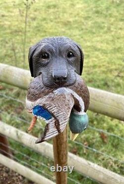 Labrador & Duck Hand Carved in Lime Country Walking stick on Hazel Shank