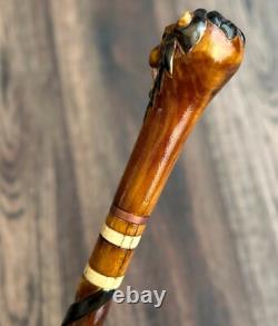 Lion Head Walking Stick Hand Carvin Cane Wooden Handmade Cane Hiking Carved