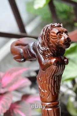 Lion Wooden Carved Walking Stick Cane Elegant Hand Carved Wooden Cane