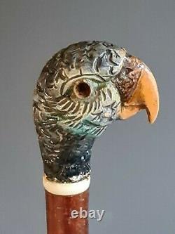 Lovely Antique Hand Carved and Painted Parrot Head Walking Cane