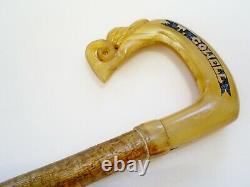 Lovely Hand Carved Rams Horn/thistle Hazel Shaft Shepherds Crook/walking Stick