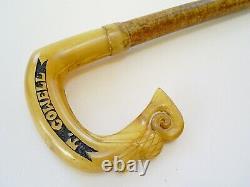 Lovely Hand Carved Rams Horn/thistle Hazel Shaft Shepherds Crook/walking Stick