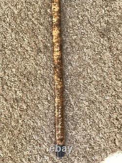 Magnificent Hand Carved Salmon 53 Hazel Shaft Walking Stick by Ian Taylor