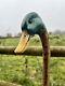 Mallard Duck Head, Hand Carved Country Walking stick on Hazel Shank