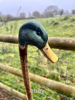 Mallard Duck Head, Hand Carved Country Walking stick on Hazel Shank