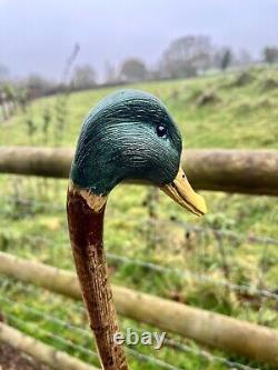 Mallard Duck Head, Hand Carved Country Walking stick on Hazel Shank