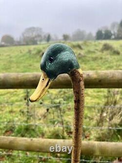 Mallard Duck Head, Hand Carved Country Walking stick on Hazel Shank