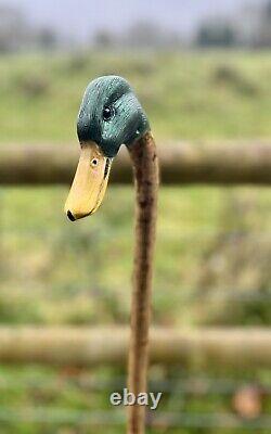 Mallard Duck Head, Hand Carved Country Walking stick on Hazel Shank