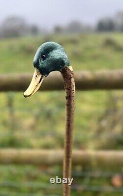 Mallard Duck Head, Hand Carved Country Walking stick on Hazel Shank