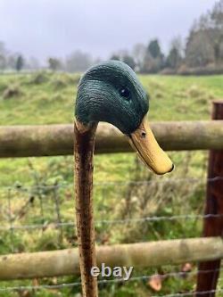 Mallard Duck Head, Hand Carved Country Walking stick on Hazel Shank