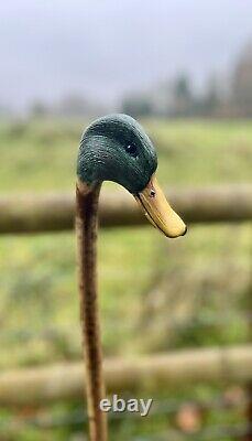 Mallard Duck Head, Hand Carved Country Walking stick on Hazel Shank